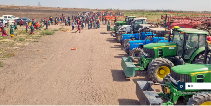 Litige foncier QVS–Nouvelle Ville : la justice tranche définitivement