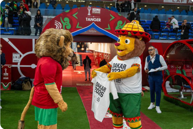deux Lions africains au cœur des ambitions sportives
