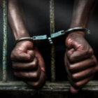 un individu interpellé pour vols multiples et cybercriminalité