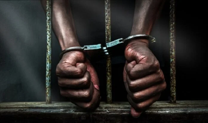 un individu interpellé pour vols multiples et cybercriminalité