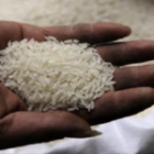 L&rsquo;État du Sénégal fixe les prix plafond du riz importé à Dakar