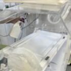 Le premier bébé de 2026 cible d’une vague de racisme sur les réseaux sociaux