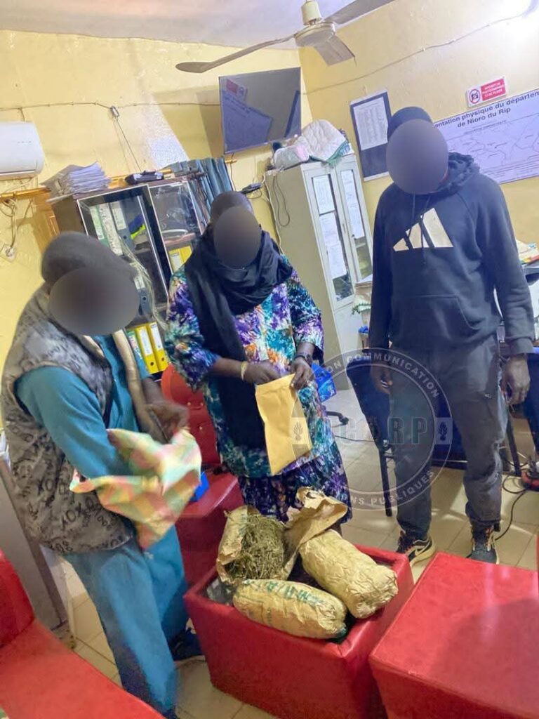 Les détails de l’opération de la gendarmerie ayant abouti à la saisie de 4 kg de chanvre indien