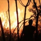 L’état de catastrophe déclaré à Victoria, plus de 130 bâtiments ravagés par les flammes