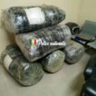 La Brigade Régionale des Stupéfiants frappe fort avec une saisie de 196 kg de chanvre indien