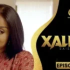 Quand les mirages de l’argent dictent les rapports humains (Vidéo)