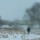 le bilan inespéré après la collision en chaîne de plus de 100 véhicules