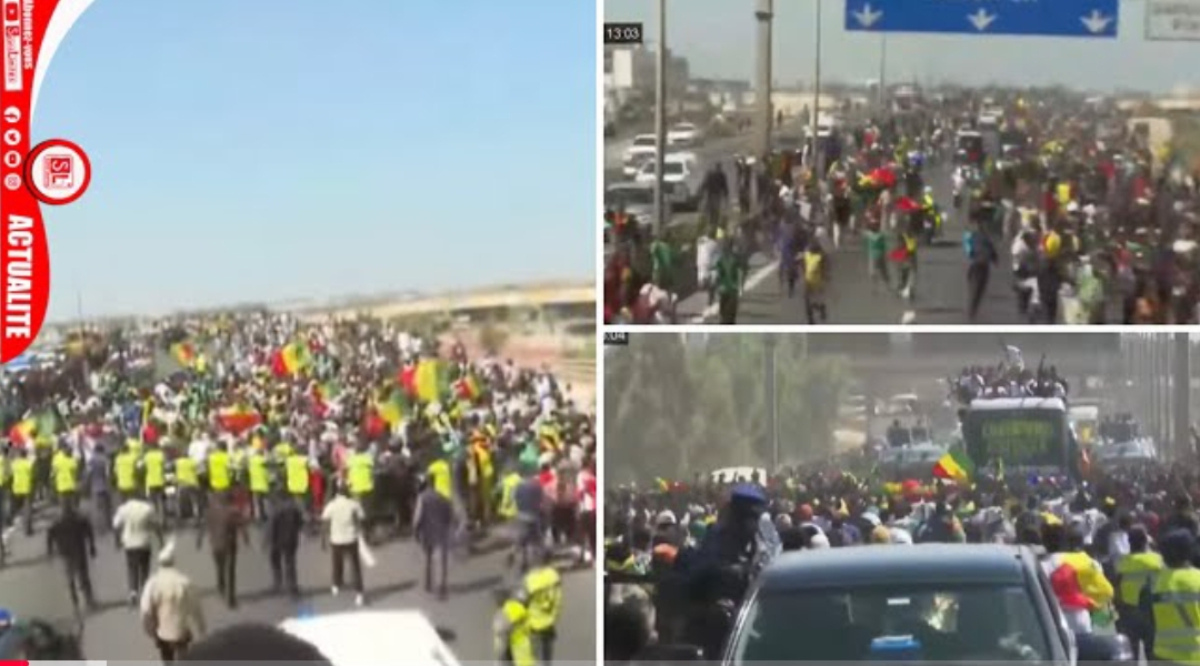 Direct/Une marée humaine accompagne les lions