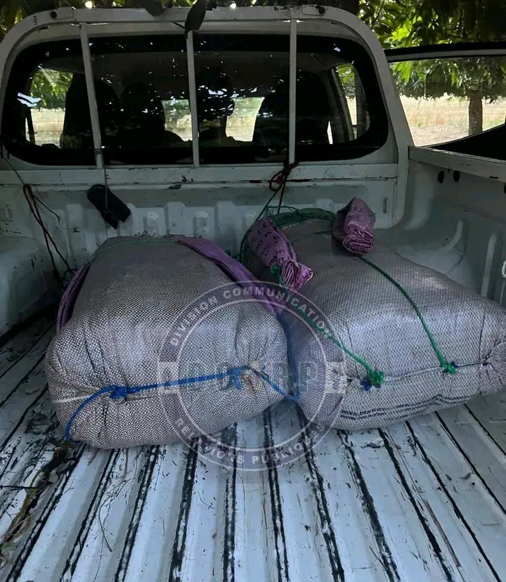 Trois individus arrêtés avec 53 kg de chanvre indien