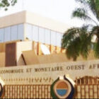 Entre baisse des taux et contraction des volumes, la dynamique paradoxale observée sur le marché de la dette publique en novembre