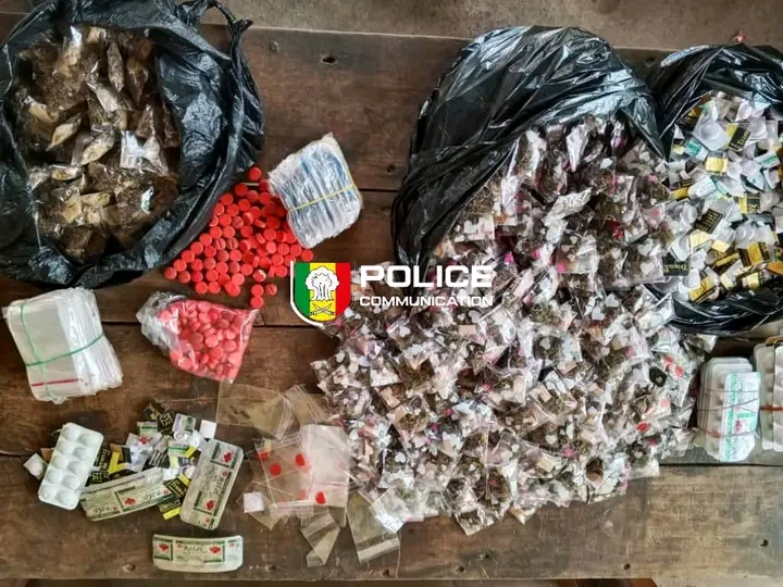 566 comprimés de Tramadol et 451 paquets de kush saisis (Photos)