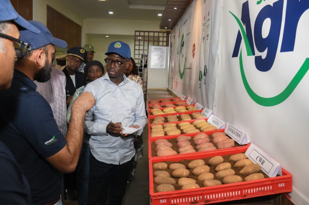 Pour acter la fin des importations en 2026, le volume de production précis que le Sénégal doit impérativement atteindre