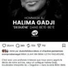 Pour honorer la mémoire de Halima Gadji, les témoignages concordants livrés par les maisons de production Evenprod et Marodi