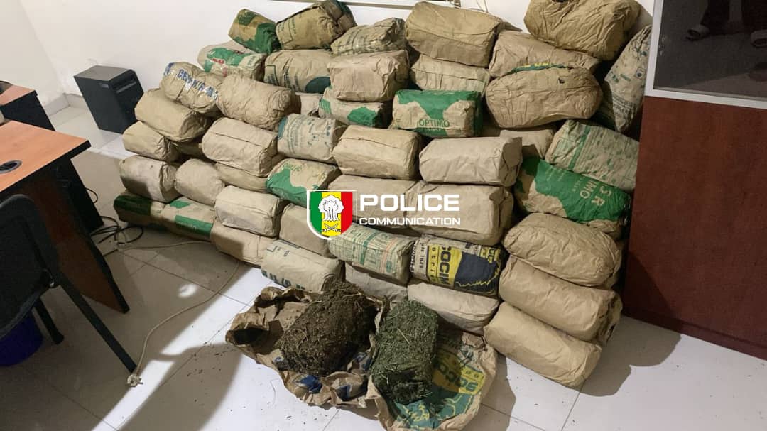 Saisie record de 120 kg de chanvre indien à Mbour