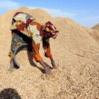 feu vert de l’État aux agriculteurs et commerçants