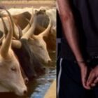 les auditions confirment les faits, trois suspects déférés