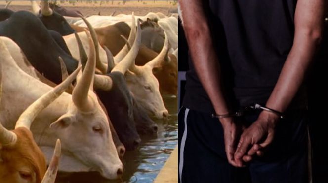 les auditions confirment les faits, trois suspects déférés