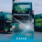 découvrez le bus impérial des Lions, champions d’Afrique, pour célébrer le titre (vidéo)