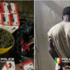 la Brigade des stupéfiants démantèle un réseau à Tenkoto…