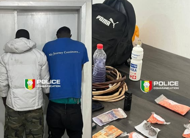 Démantèlement d’un réseau de trafic de drogues de synthèse