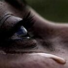 Un pécheur tabasse sa femme devant leur enfant pour…