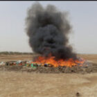 des produits prohibés d’une valeur de près de six milliards de francs CFA incinérés