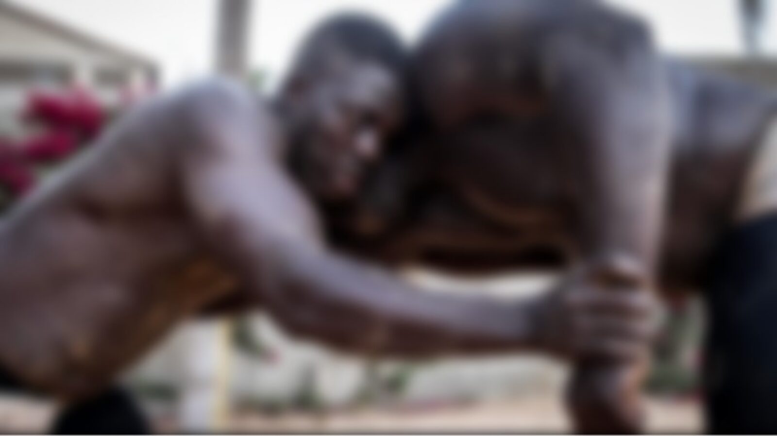 Un lutteur placé en garde à vue