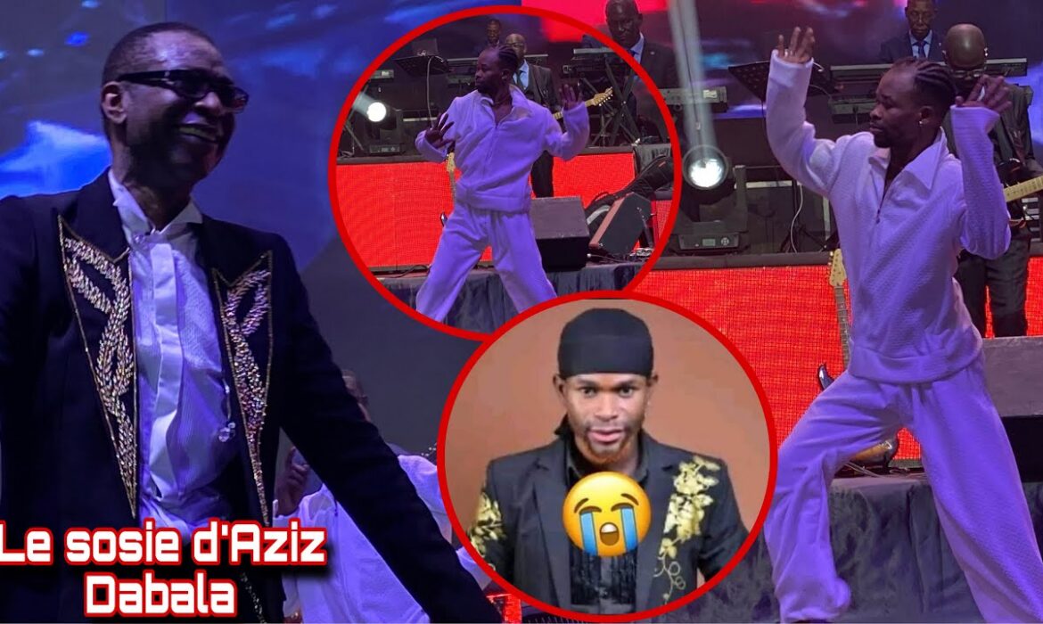 Le public sous le choc (vidéo)