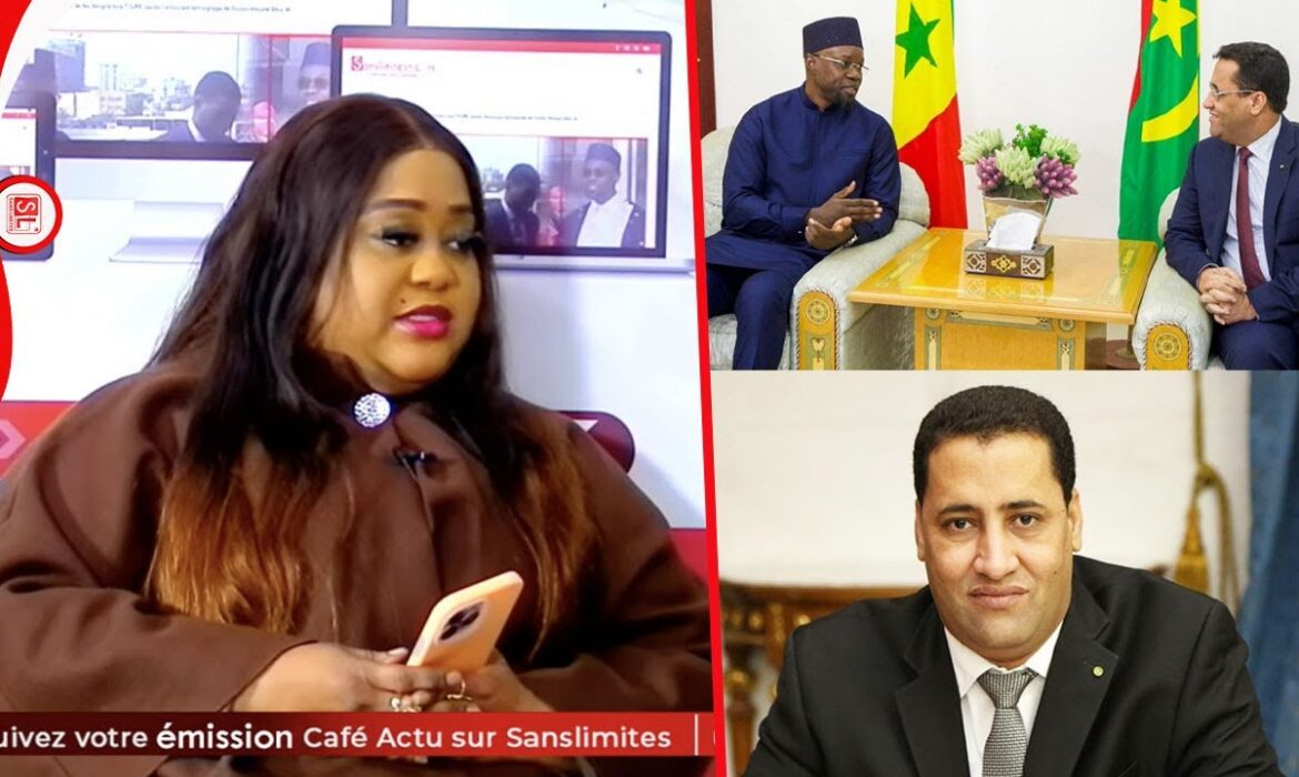Mamy Samb décortique l&rsquo;audience entre le Pm Sonko et son homologue mauritanien (vidéo)