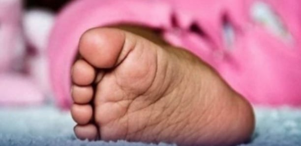 Un nouveau‐né abandonné retrouvé en vie