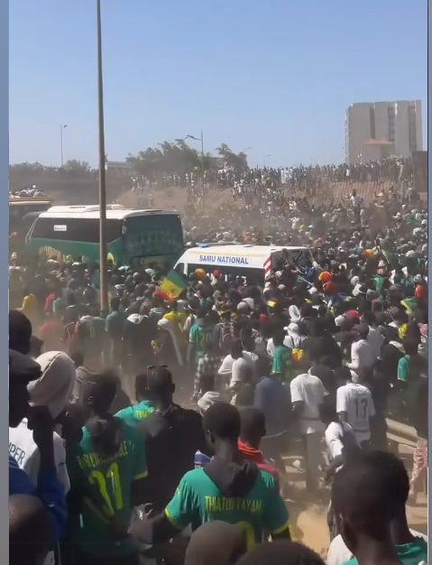 Une marée humaine accueille les Lions champions d’Afrique qui défilent vers le Palais de la République