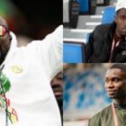 Une vraie moisson pour les influenceurs sénégalais