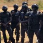 Révélations intrigantes sur un contrat de plus de 710 millions basé sur du faux