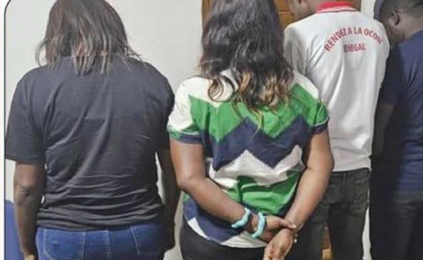 démantèlement d’un réseau pornographique, 5 personnes déférées