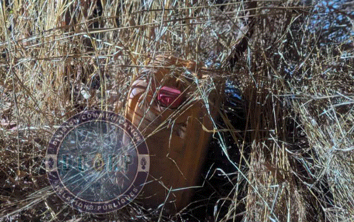 Saisie de drogue et produits frauduleux dissimulés dans des buissons