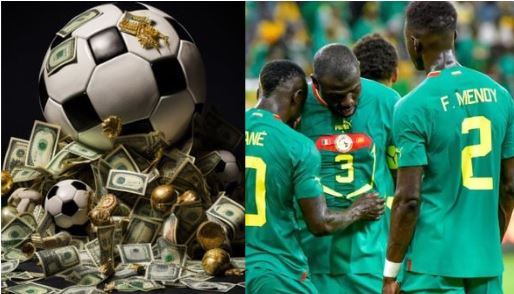 la demi-finale rapporte gros aux Lions et à la FSF…