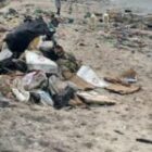 « Un plombier déshabille un enfant et le force à se courber pour… »