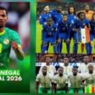 La France avait envoyé un «espion» à la CAN pour superviser les Lions