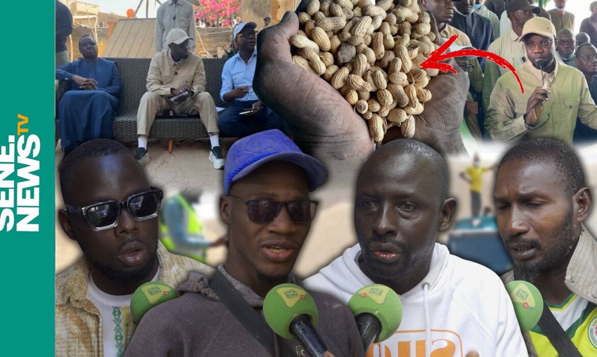 Les cultivateurs prennent la parole après la sortie de Sonko