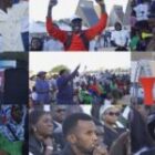 Au coeur de la victoire du Sénégal face à l’Egypte, au Fan Zone Yango