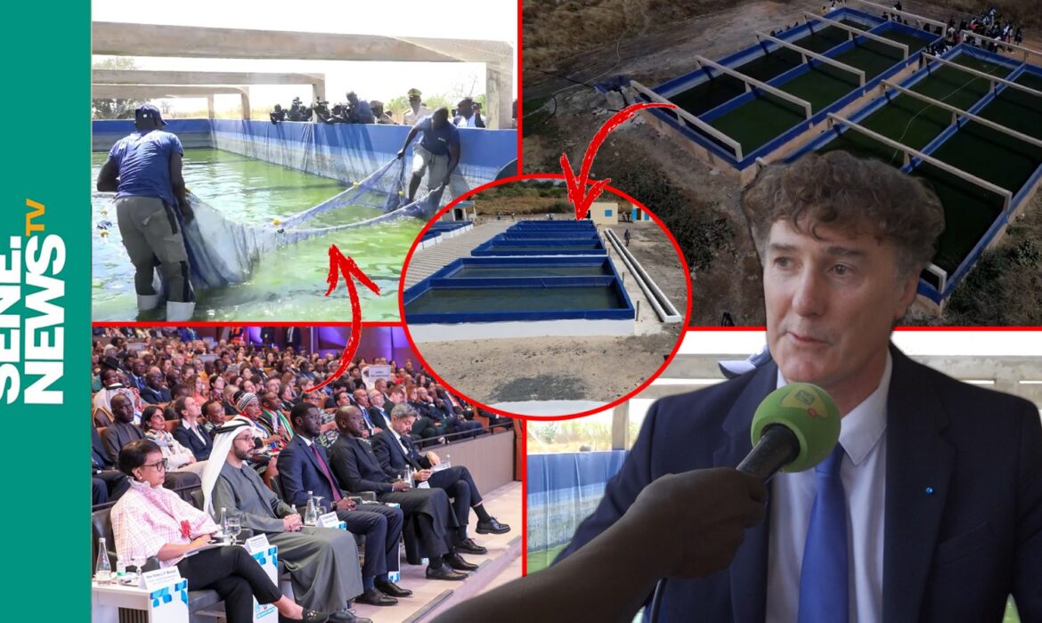 Entre assainissement et eau potable, les vérités de l&rsquo;expert M. POINARD