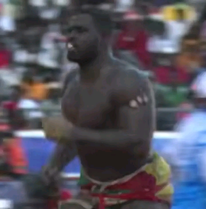 Zambala terrasse Ndiaga Dolé après un rude combat (Vidéo)