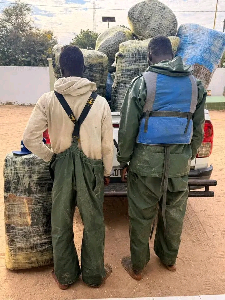 Près d’une tonne de chanvre indien saisie dans les îles du Saloum en un mois