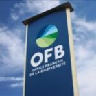 En France, une vague d’invectives contre une responsable de l’écologie pousse Matignon à déclencher une triple enquête administrative