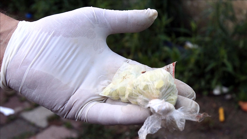 Le volume colossal de psychotropes intercepté en 24 heures par la Gendarmerie nationale