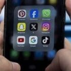 La justice française assortit la condamnation des harceleurs d’un député d’une interdiction civique rarement appliquée pour ces délits