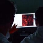 La réussite préclinique espagnole et le facteur biologique qui empêche encore sa transposition humaine