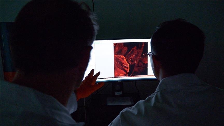 La réussite préclinique espagnole et le facteur biologique qui empêche encore sa transposition humaine