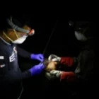 Après un décès au Bangladesh, l’OMS pointe le comportement à risque ayant favorisé le virus Nipah