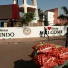 le protocole imposé à la moitié des 14 000 bébés qui a justifié la suspension